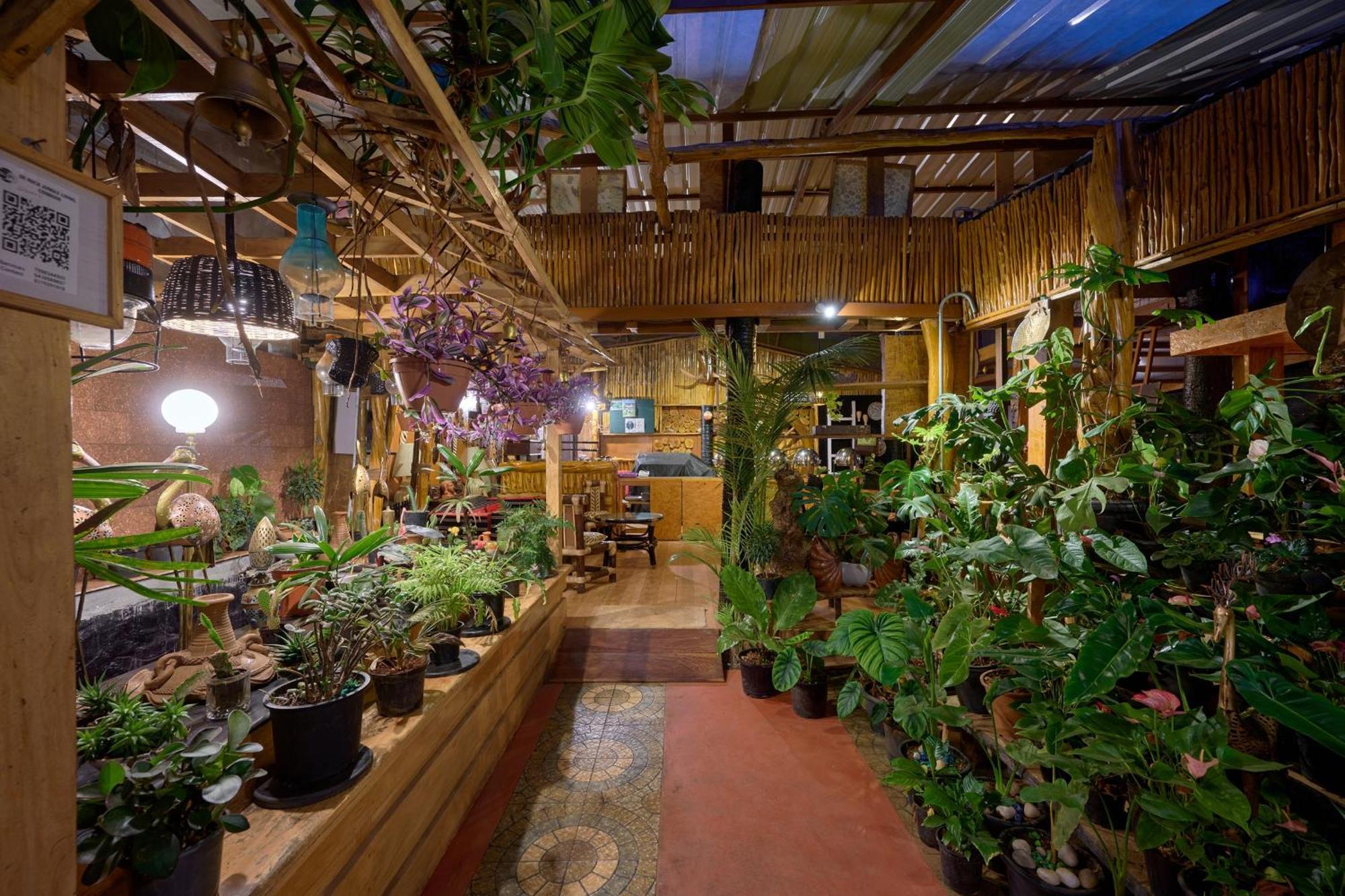 De Rock Jungle Living Resort Coonoor Exterior foto
